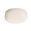 Cocoon Oyster 20cm Clipper Flush Ceiling Light - White -Homebase Sales Store 12813812 9554831966380558