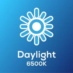 TCP Filament Globe Coat 40W SES Cool Dimmable Light Bulb 5 TCP Filament Globe Coat 40W SES Cool Dimmable Light Bulb -Homebase Sales Store 12824597 1225022111812169