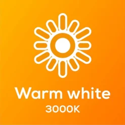 TCP LED Globe 40W SBC Warm Nd Light Bulb - 2 Pack -Homebase Sales Store 12826527 1705022112453560