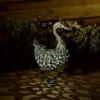 Solar Silhouette Duck - 43x12x27.5cm -Homebase Sales Store 12912162 1925042096120703