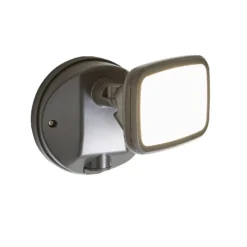 Lynn 1 Light Outdoor Wall Light (IP65) - Dark Grey -Homebase Sales Store 13924377 7054980108048096
